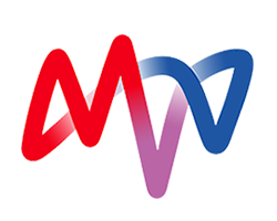 MVV Energie AG