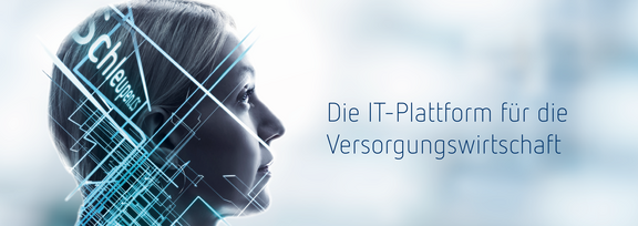 Software Schleupen.CS